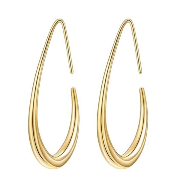 14K Gold Plated Fishhook Earrings - Picture 1 of 3